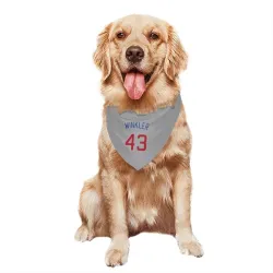 Chicago Cubs Dan Winkler Gray Pet Bandana for Dog & Cat