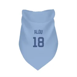 Chicago Cubs Moises Alou Light Blue Pet Bandana for Dog & Cat
