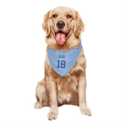 Chicago Cubs Moises Alou Light Blue Pet Bandana for Dog & Cat