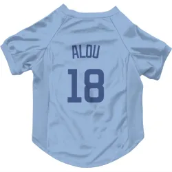 Chicago Cubs Moises Alou Light Blue Pet Jersey for Dog & Cat
