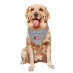 Chicago Cubs Trent Thornton Gray Pet Bandana for Dog & Cat