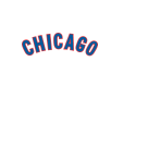 Chicago Store